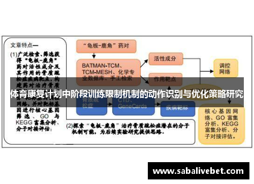 体育康复计划中阶段训练限制机制的动作识别与优化策略研究