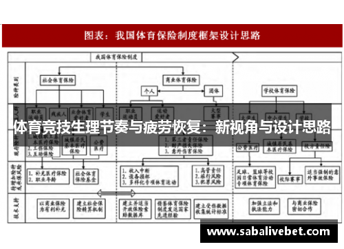体育竞技生理节奏与疲劳恢复：新视角与设计思路