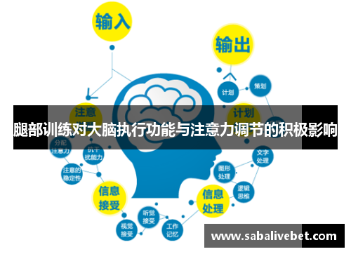 腿部训练对大脑执行功能与注意力调节的积极影响