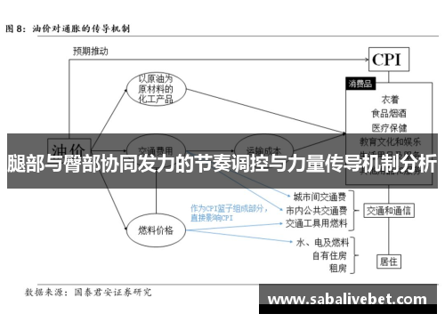 腿部与臀部协同发力的节奏调控与力量传导机制分析